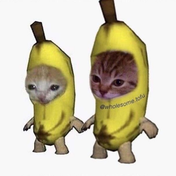 Meet your Posher, Chastity - Picture 1 of 1